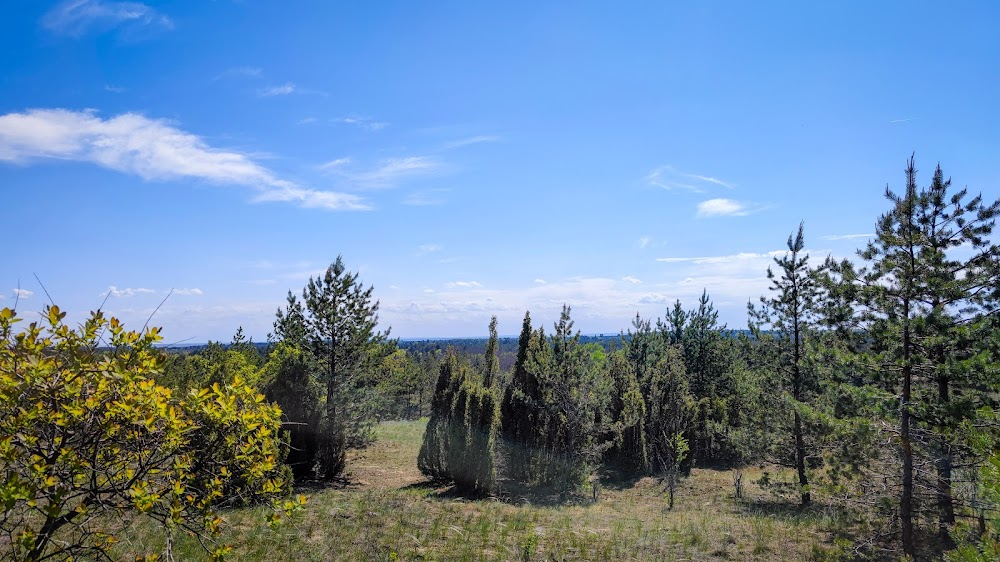 Tajna manastirske rakije : 