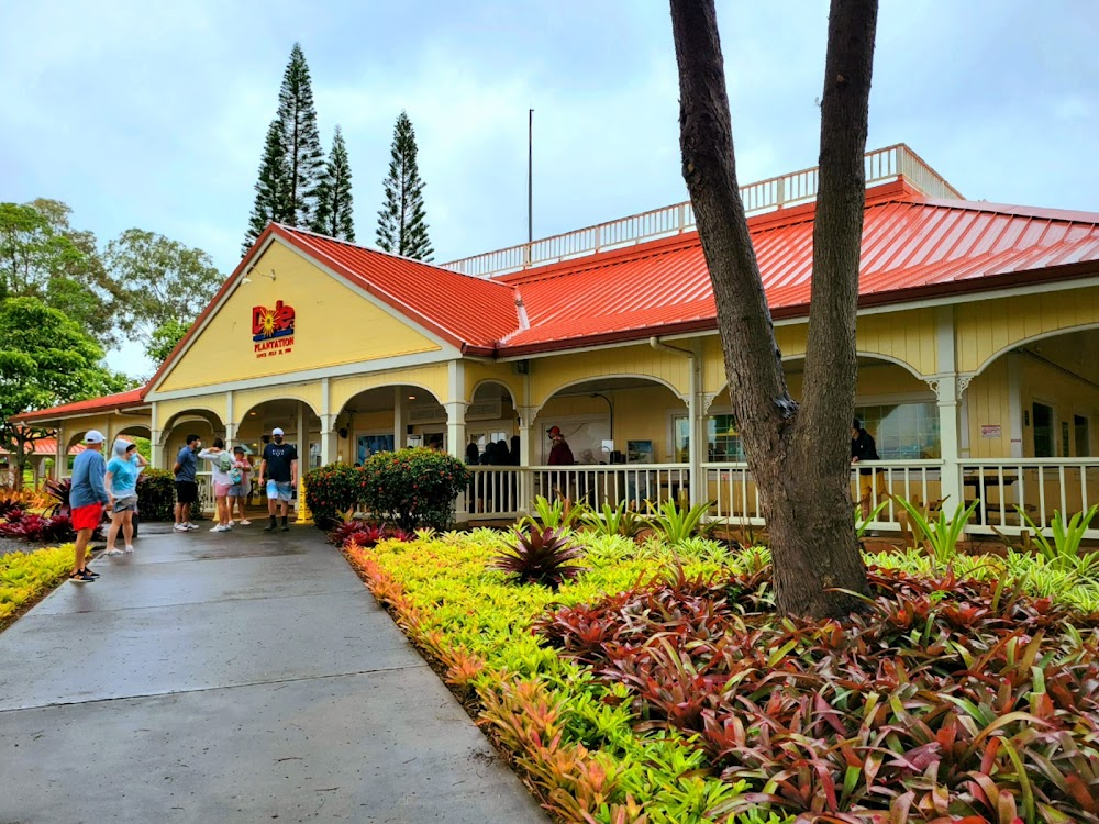 Iki Haole: Nico's Hawaiian Adventure : pineapple-eating scene on 801 Hwy