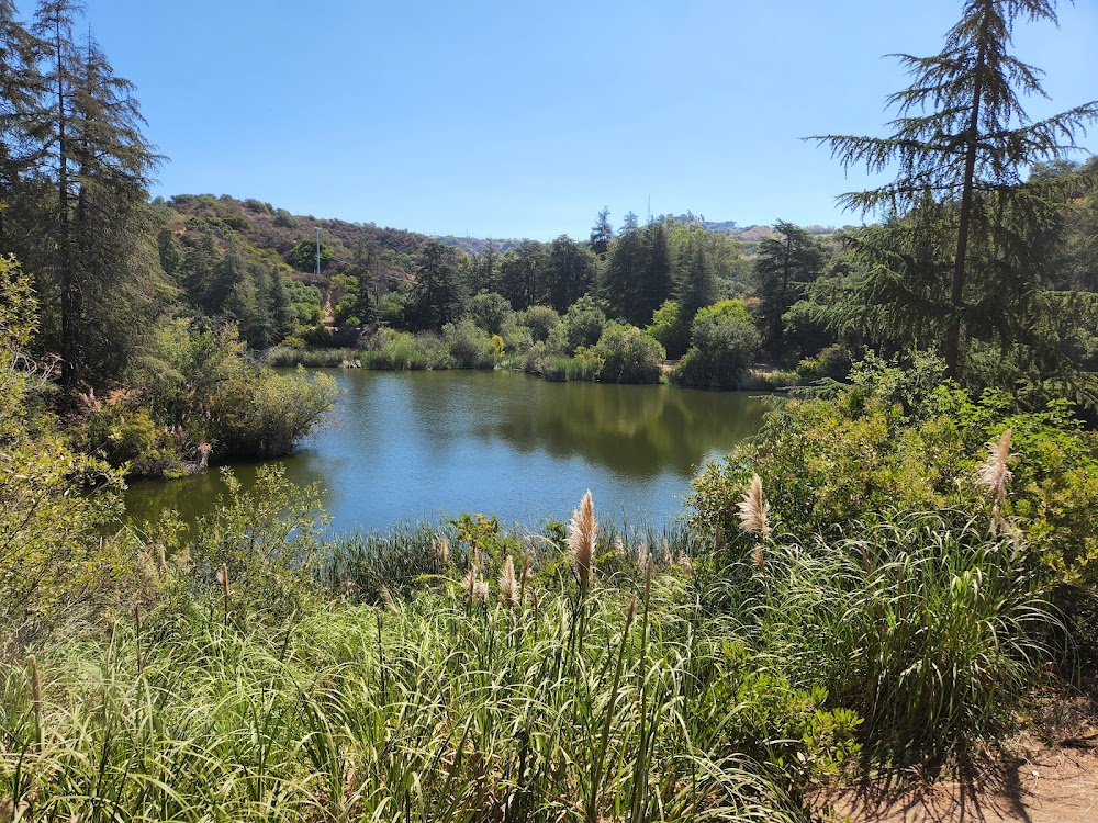 Teen Witch : The lake where Louise and Brad are in the rowboat