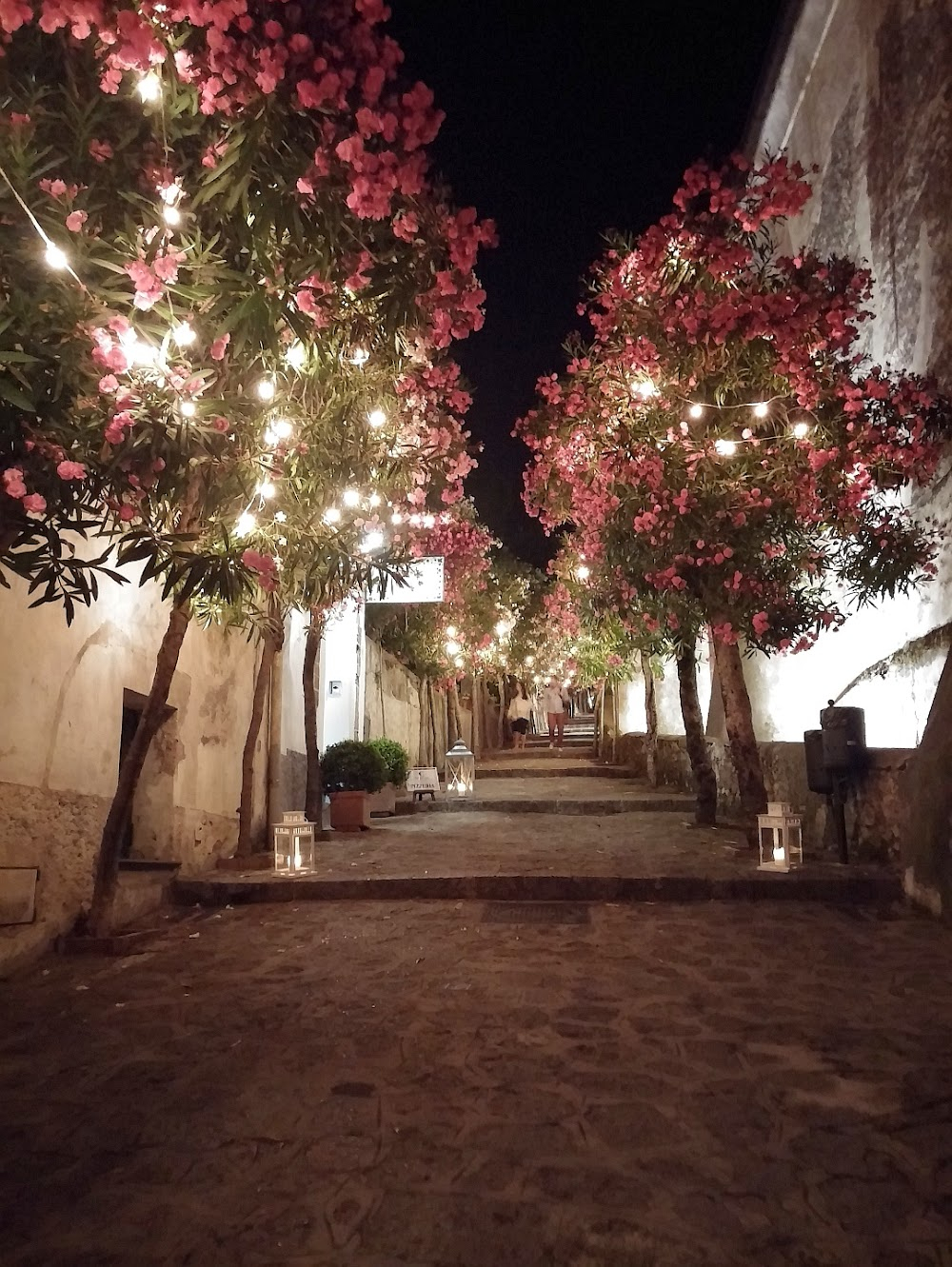 Tenet : The Protagonist walking to Andrei Sator's dinner