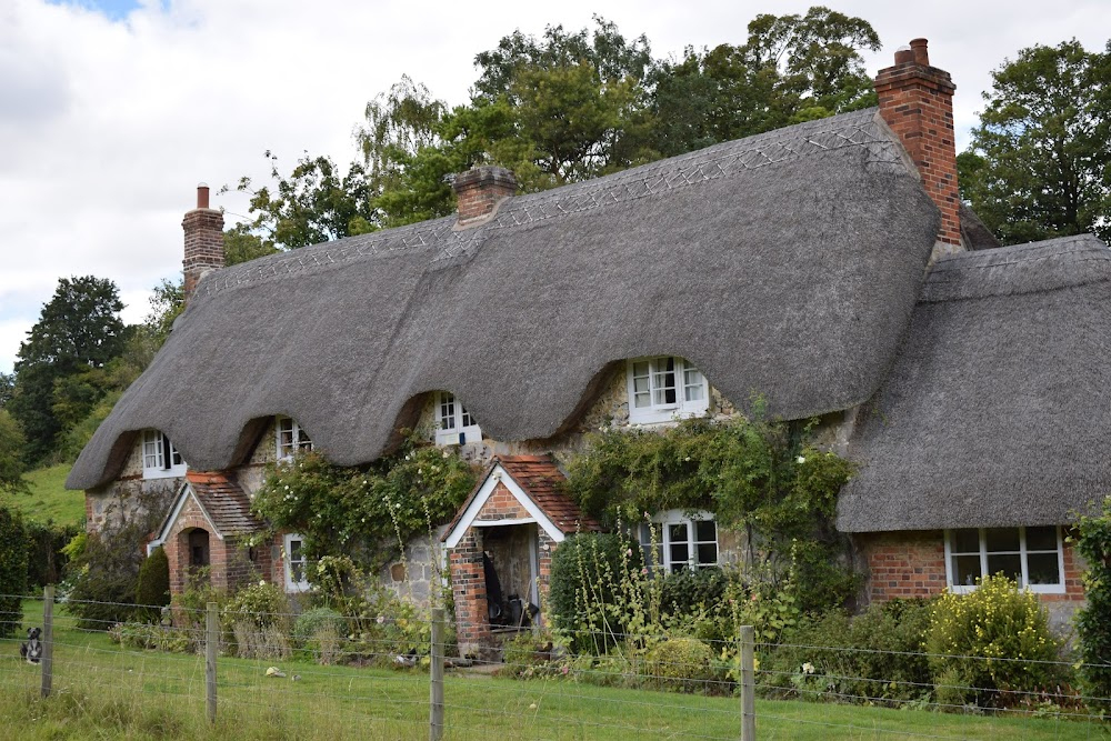 Tess of the D'Urbervilles : the downs