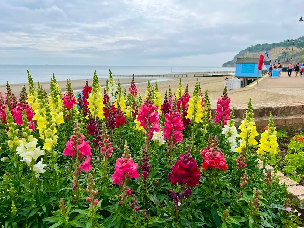 That'll Be the Day : beach scenes