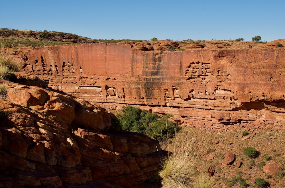 The Adventures of Priscilla, Queen of the Desert : 