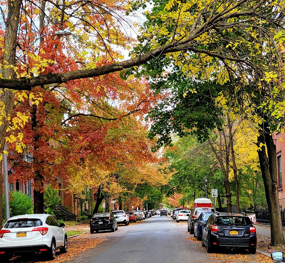 The Age of Innocence : Gramercy Park scenes