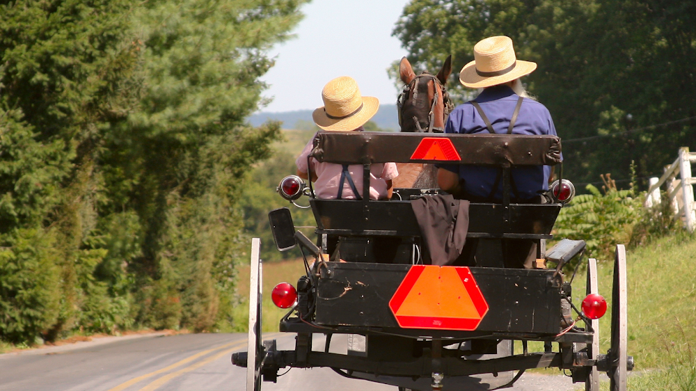 The Amish : 