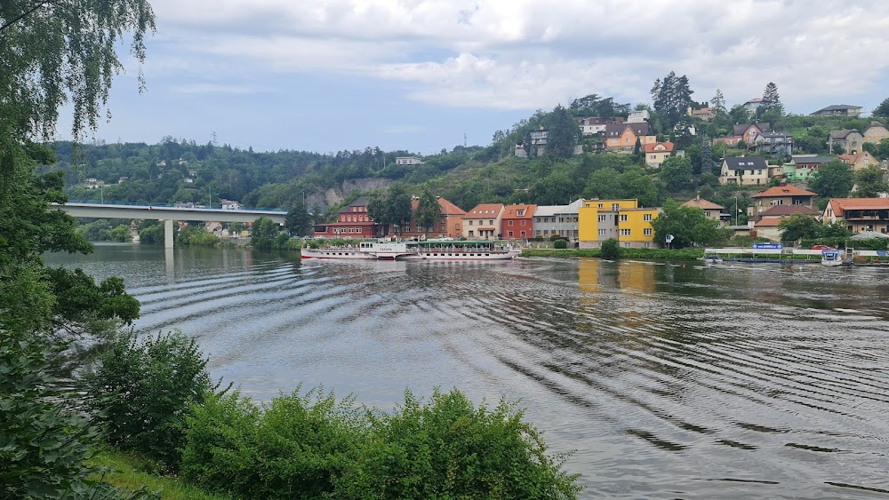 The Bridge at Remagen : 