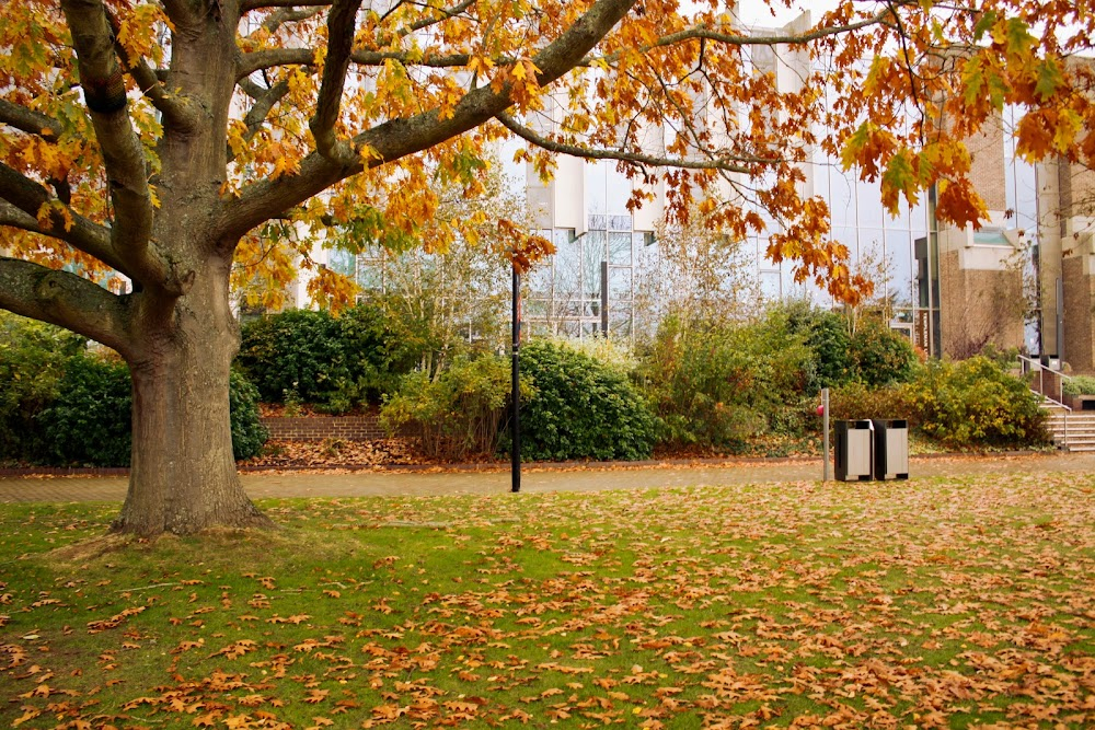 The Calling : Canterbury Campus, Gulbenkian Cafe