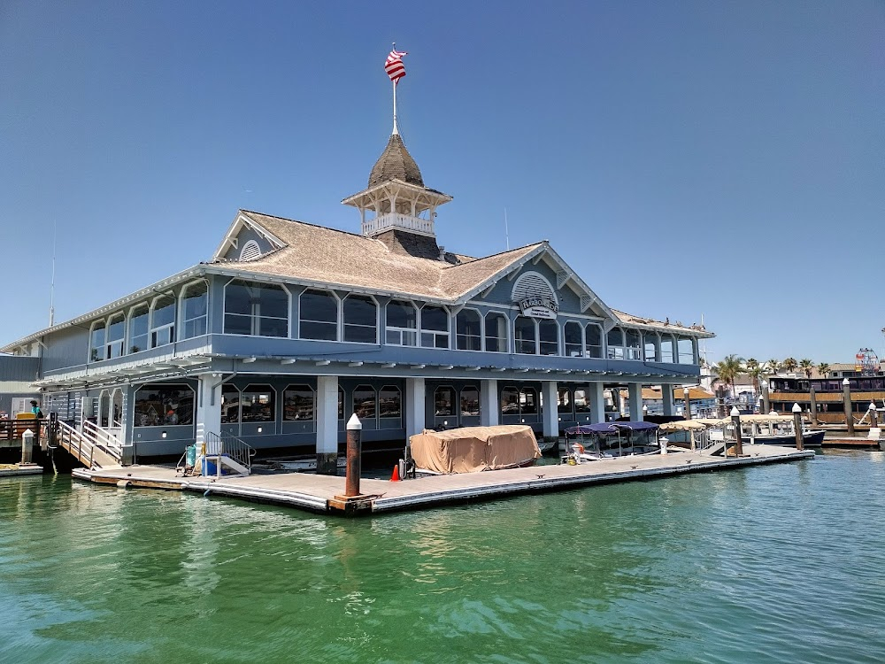 The Cameraman : Westport Yacht Club