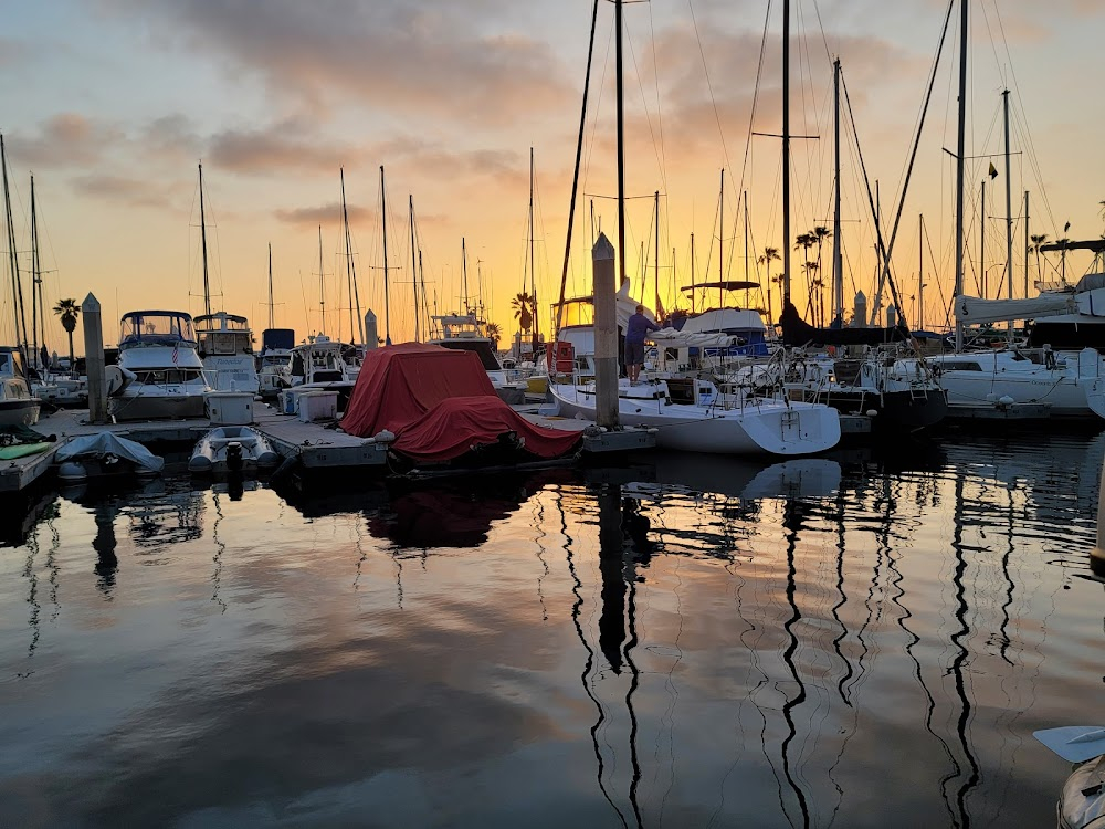 The Butterfly, the Harp and the Timepiece : Breakwater