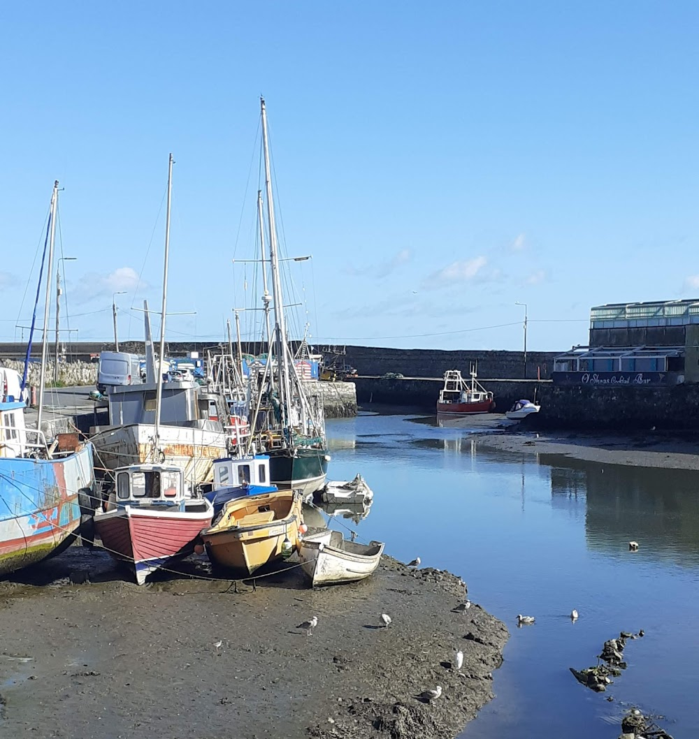 The Catch : The Harbour