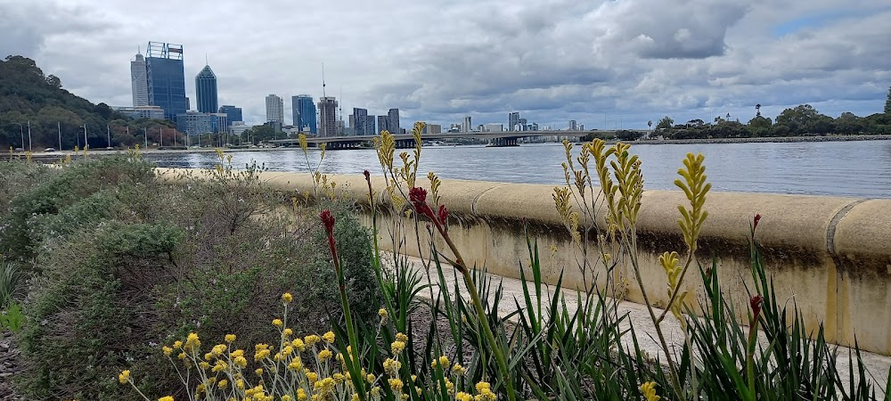 The Joys of the Women : Fremantle, Yanchep