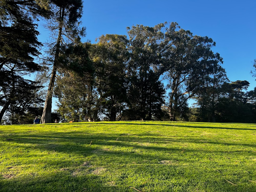 The Diary of a Teenage Girl : Minnie walks through a park during the opening credits