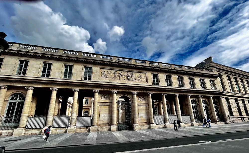 Première année : medical school