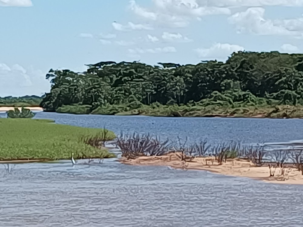 The Emerald Forest : Rio Araguaia