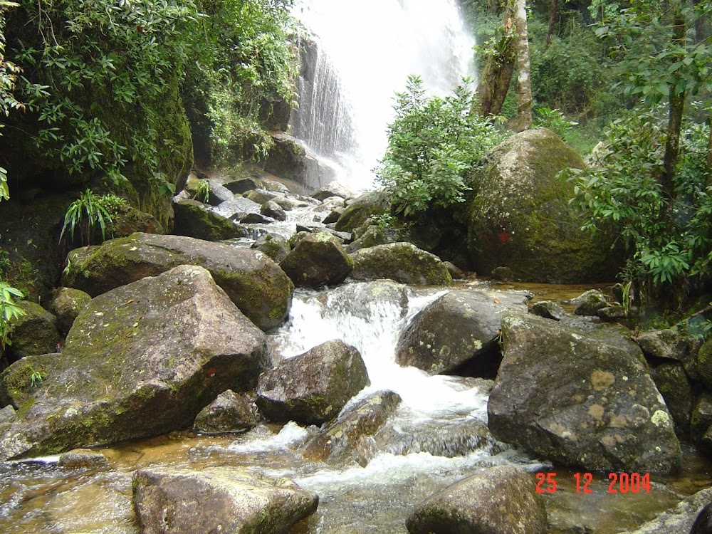 The Emerald Forest : waterfall