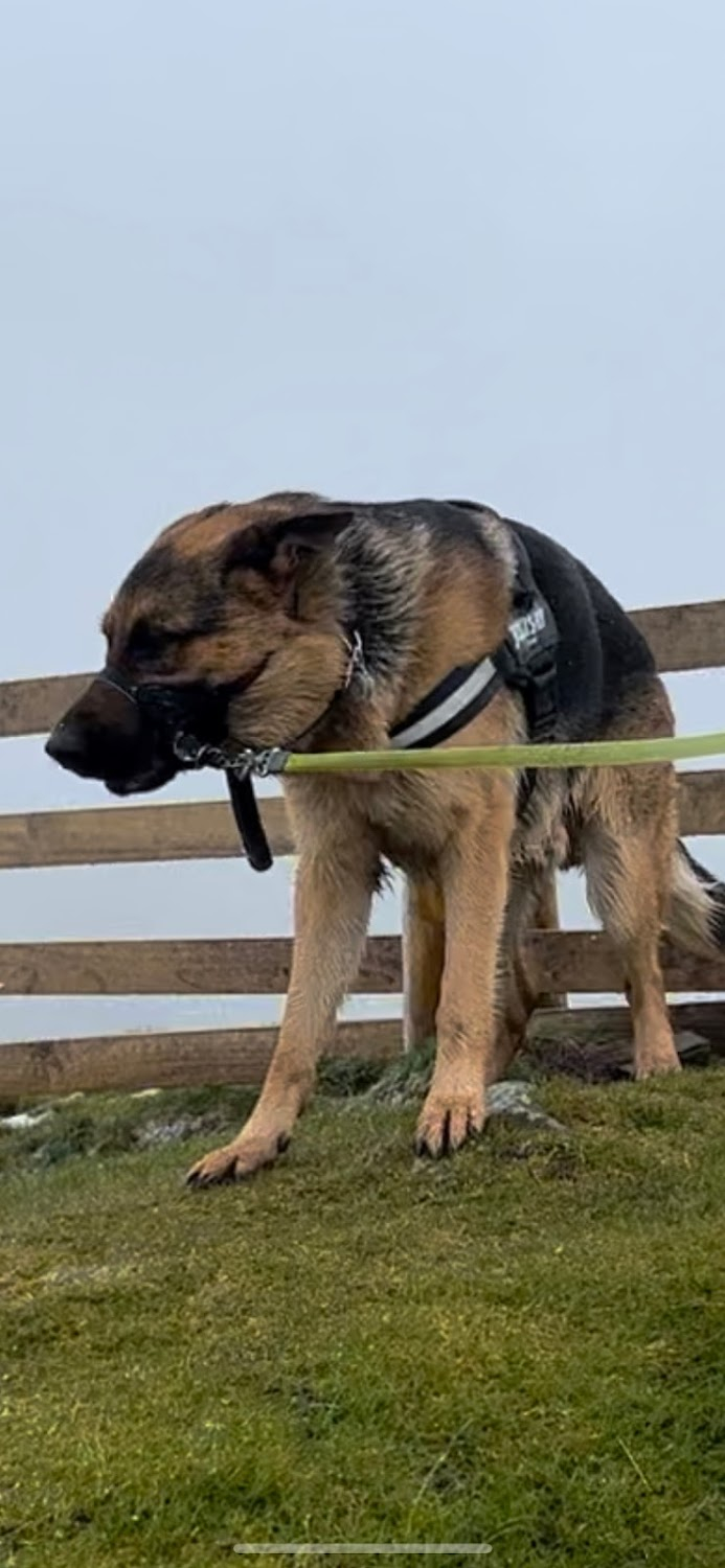 The Englishman Who Went Up a Hill But Came Down a Mountain : Ffynnon Garw hill/mountain