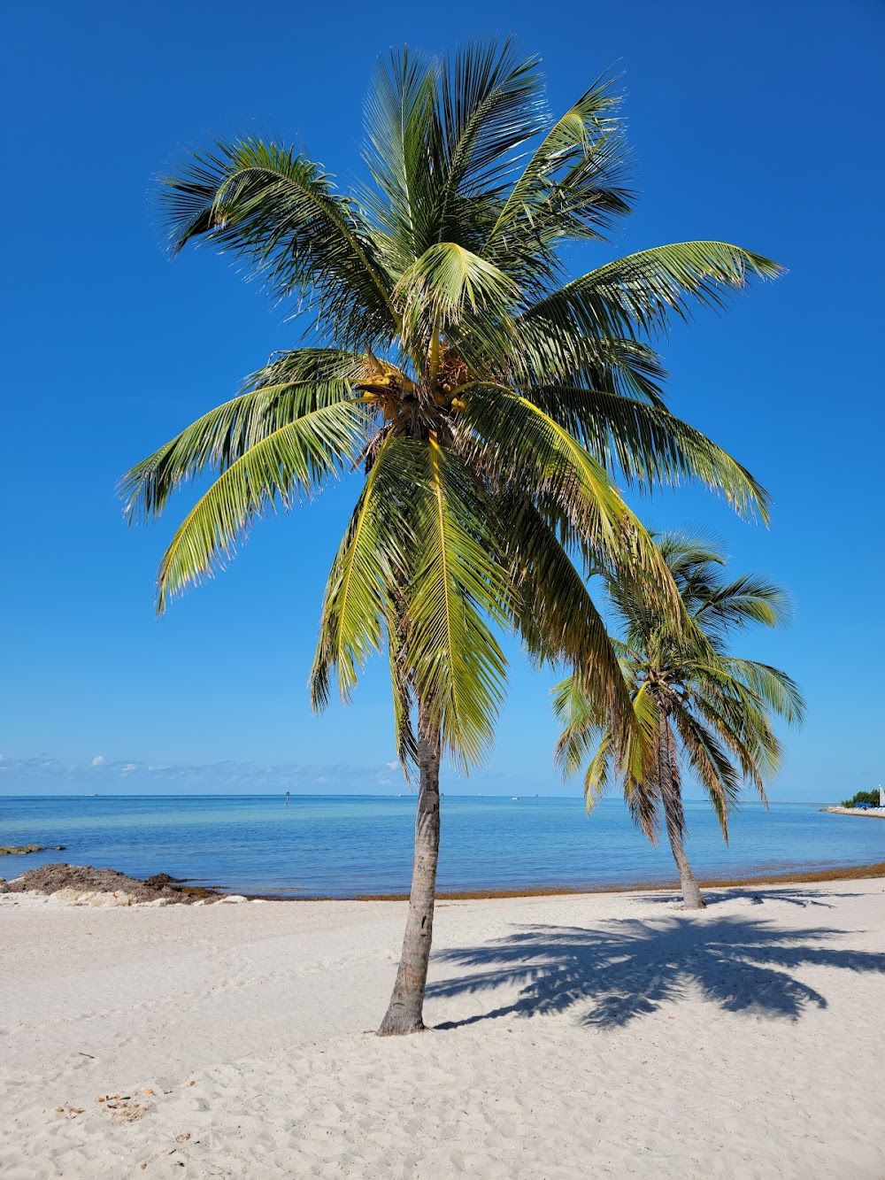 The Final Countdown : Where CDR Owens was left at beach at end