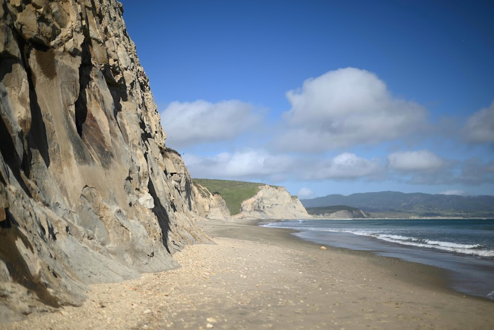 The Fog : Andy finds the driftwood