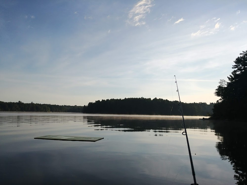 The Forest Rangers : summer lake fly-over scene