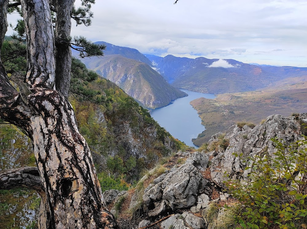 Serbia Upside Down: Into the Unknown : location