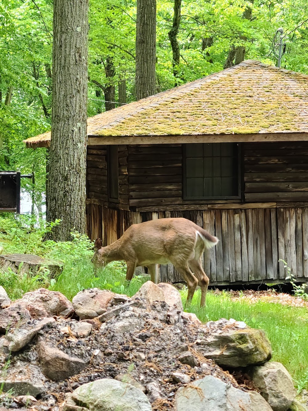 The Forgotten : cabin in woods that is blown up