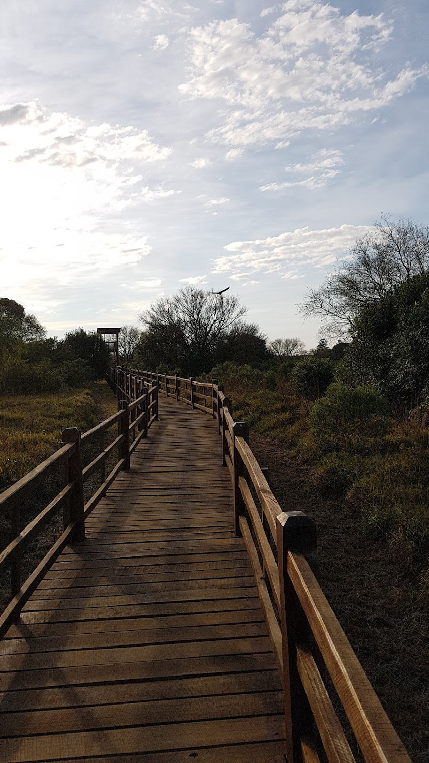 The Future Is Wild : Prairies of Amazonia