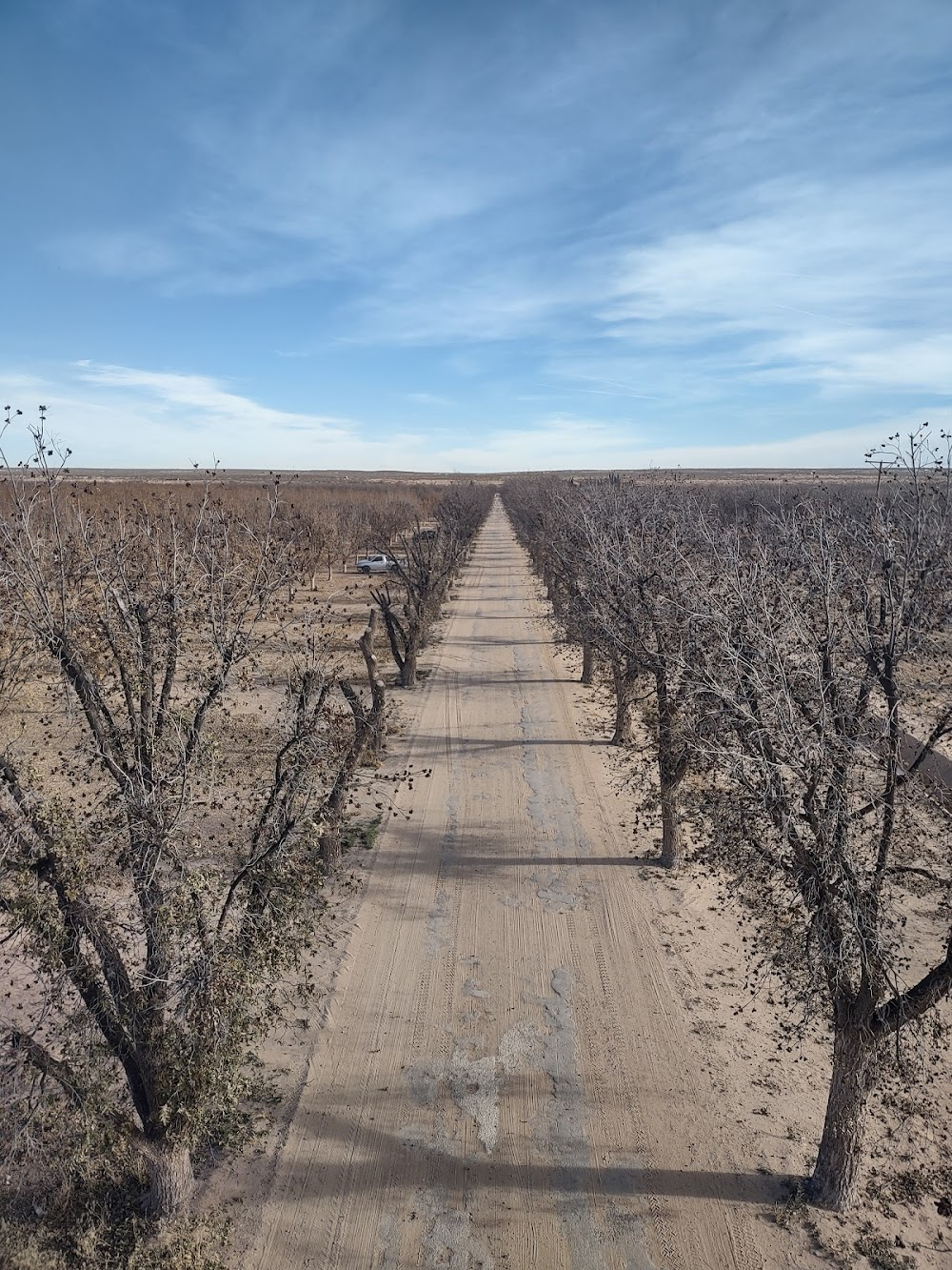 The Getaway : US-Mexican border