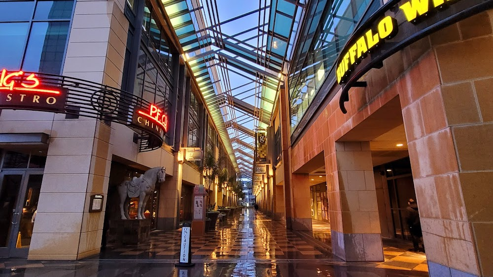 Sunset Limousine : Bradley Coleman is chased through the mall.