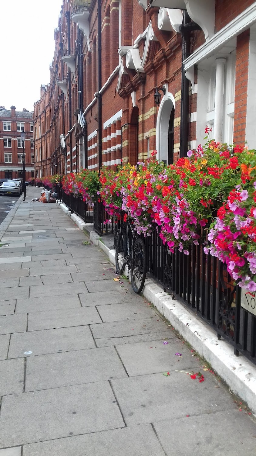 The Golden Lady : Julia parks and heads towards No.30 Egerton Crescent