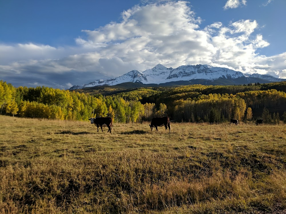 The Hateful Eight : Minnie's Set; Panoramic Shots