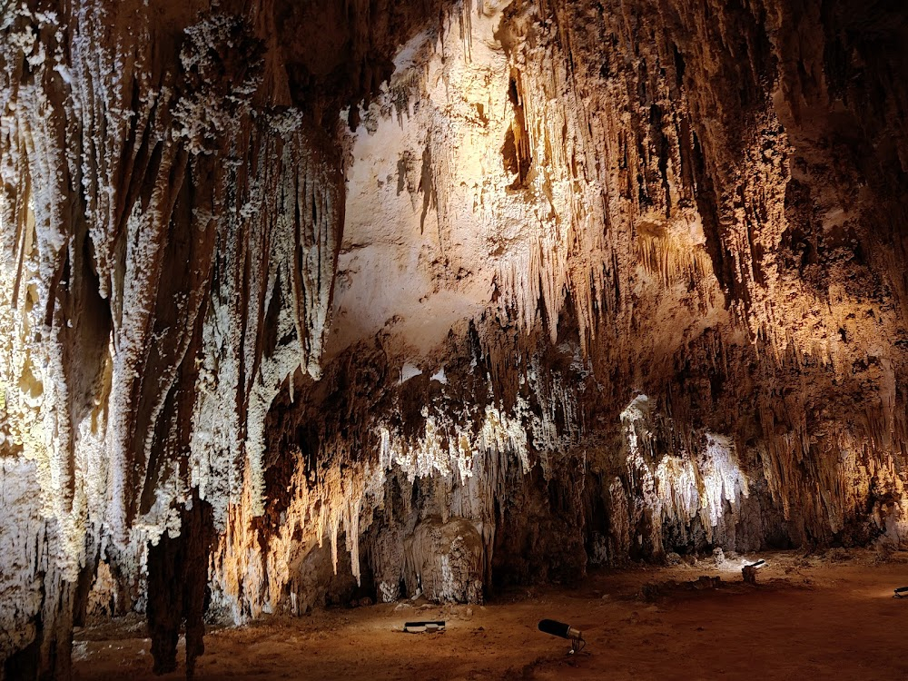 The Incredible Petrified World : 