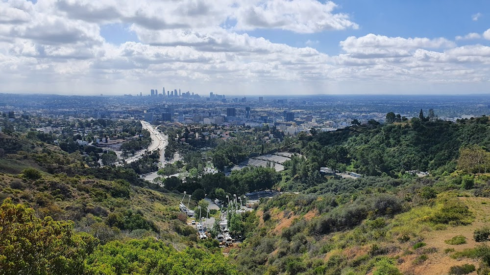 The Junkyard Willie Movie: Lost in Transit : Opening city views