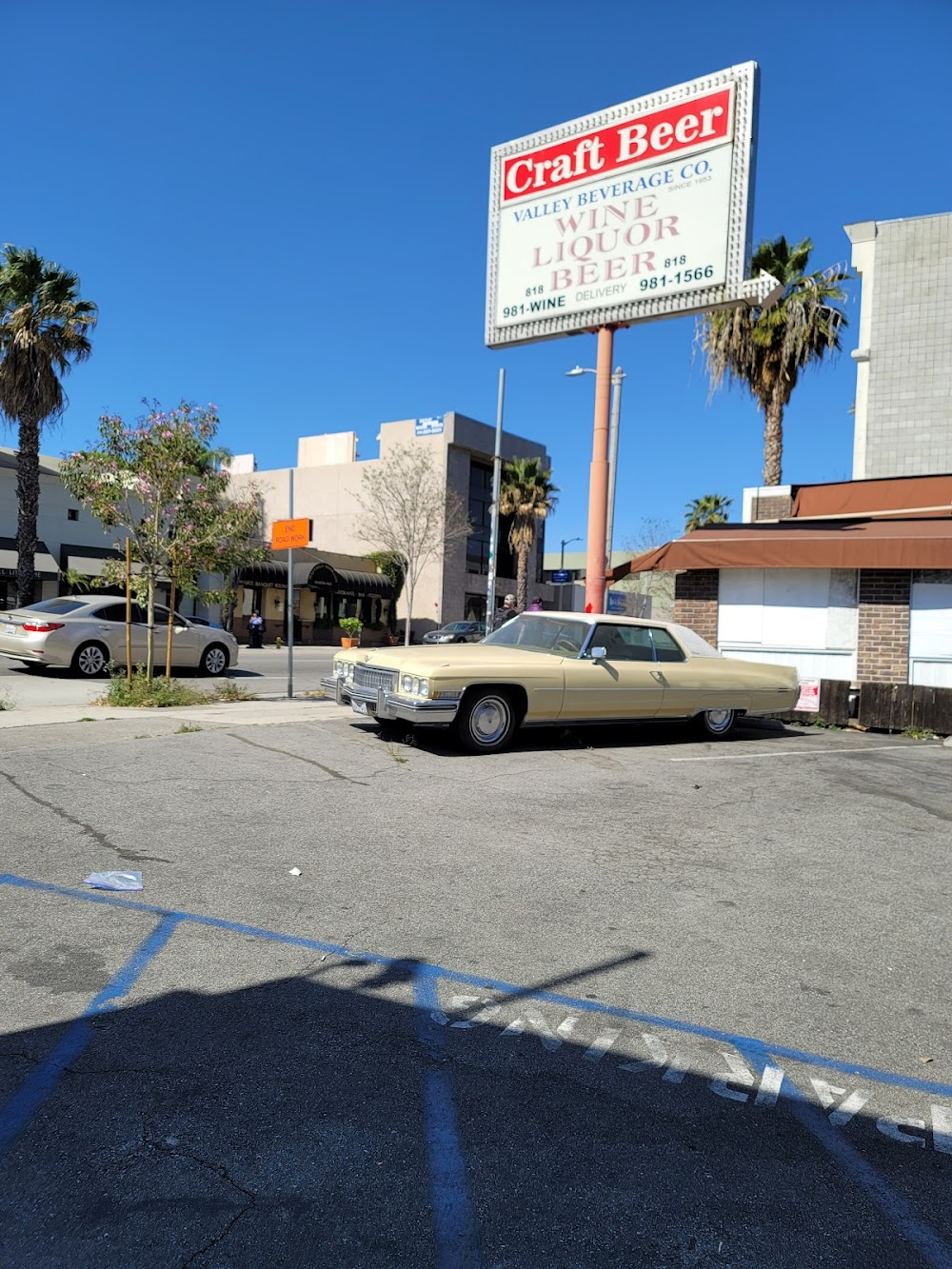 The Junkyard Willie Movie: Lost in Transit : Rock 'n roll cops at liquor store