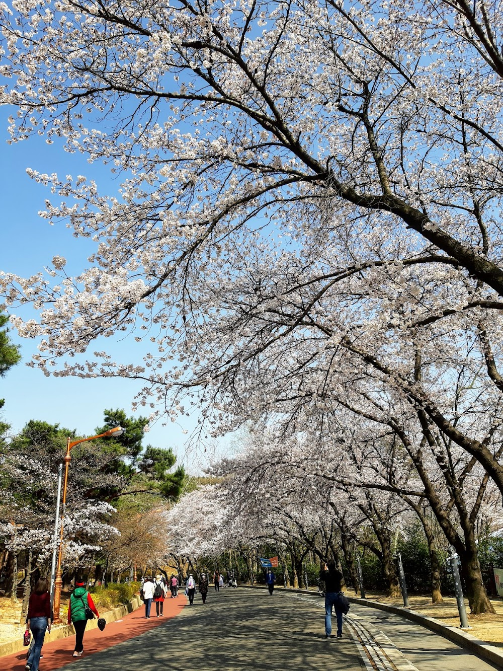 The King: Youngwonui Gunjoo : autumn-themed park scene