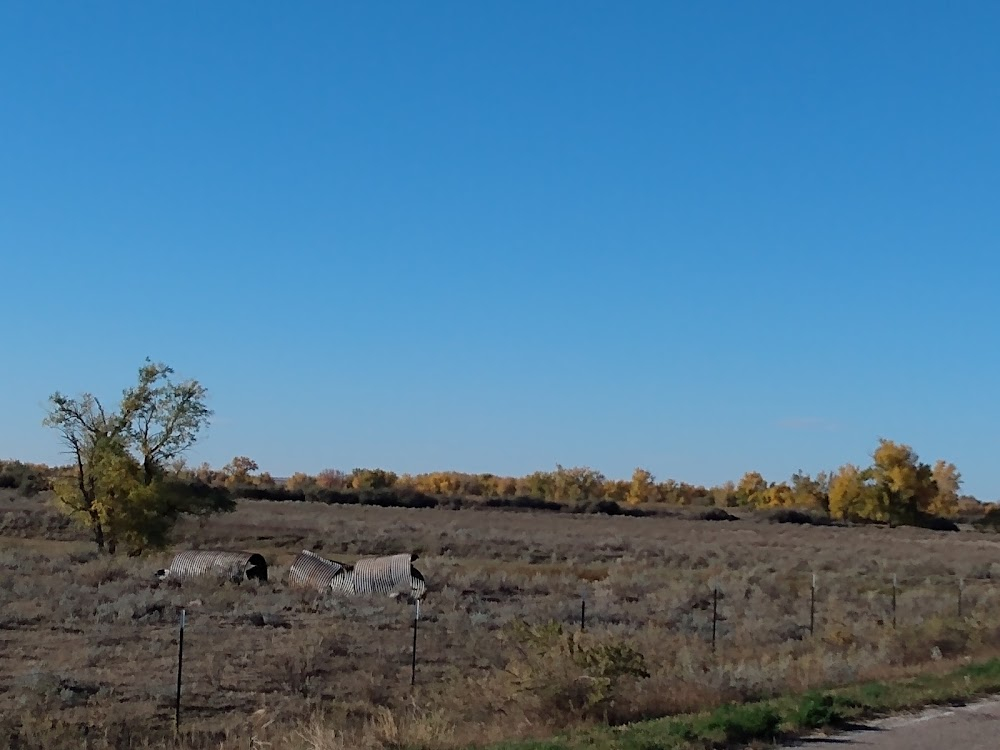 The Last Buffalo : Native American Tribal leader interview & bison herd