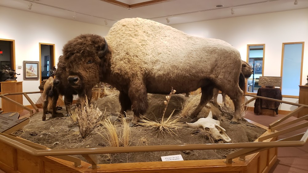 The Last Buffalo : Hornaday's taxidermy bison group