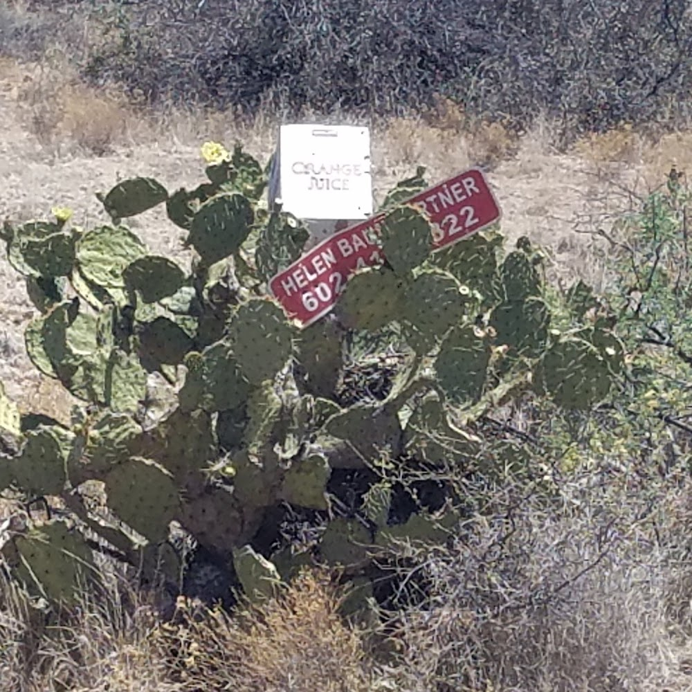 A Life's Work : Arcosanti