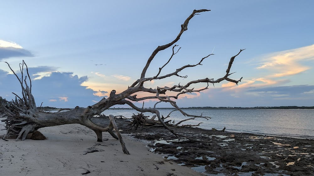 The Last Pirate : Boneyard Beach