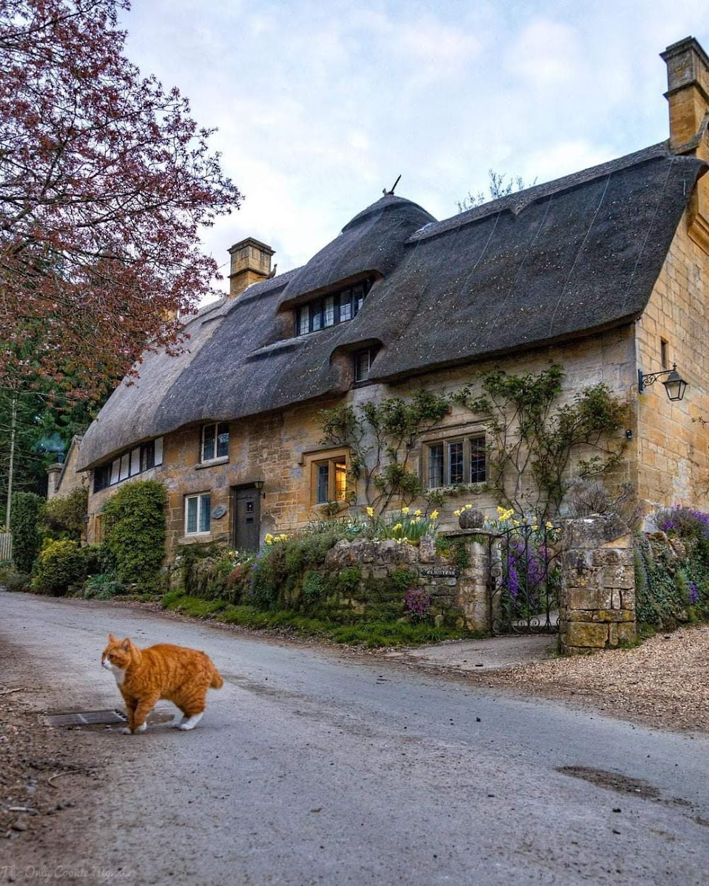 The Last Vampyre : Lamberley village street scenes