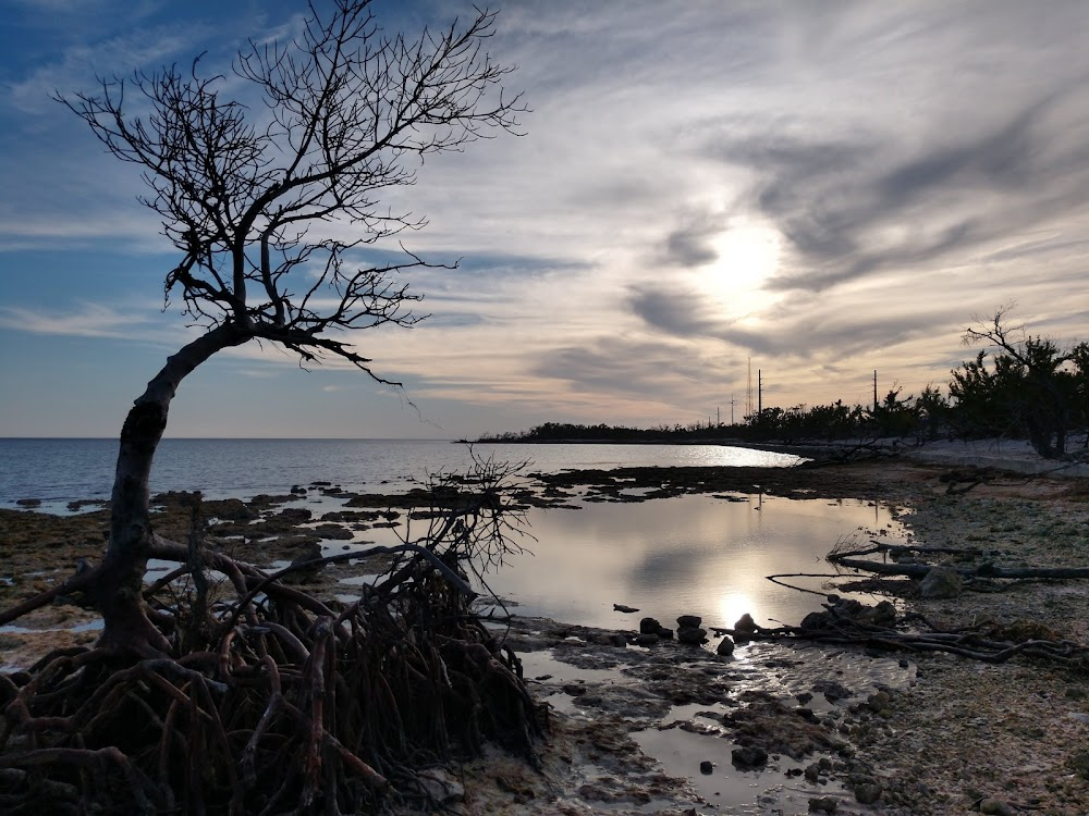 The Leisure Seeker : Bahia Honda State Park