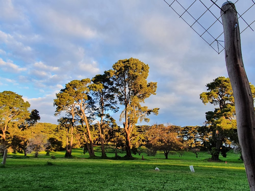 The Lighthorsemen : location: Queenscliff