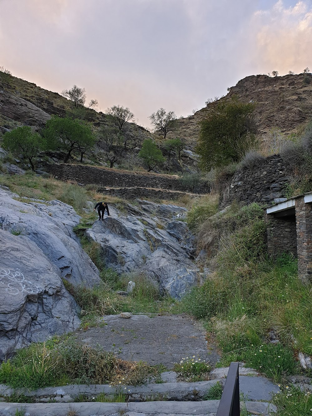 The Limits of Control : Terrace and alleys, meeting with The Mexican