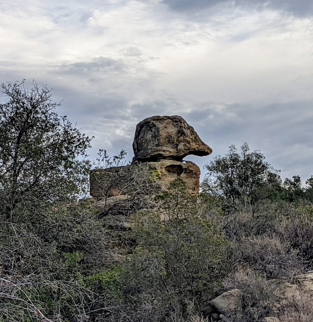 The Lone Ranger : 