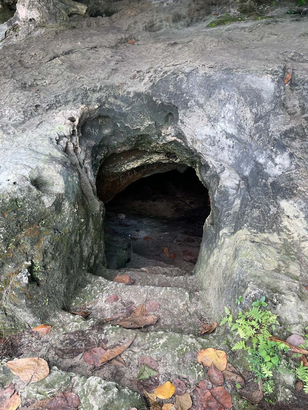 The Love Flower : huge cave entrance