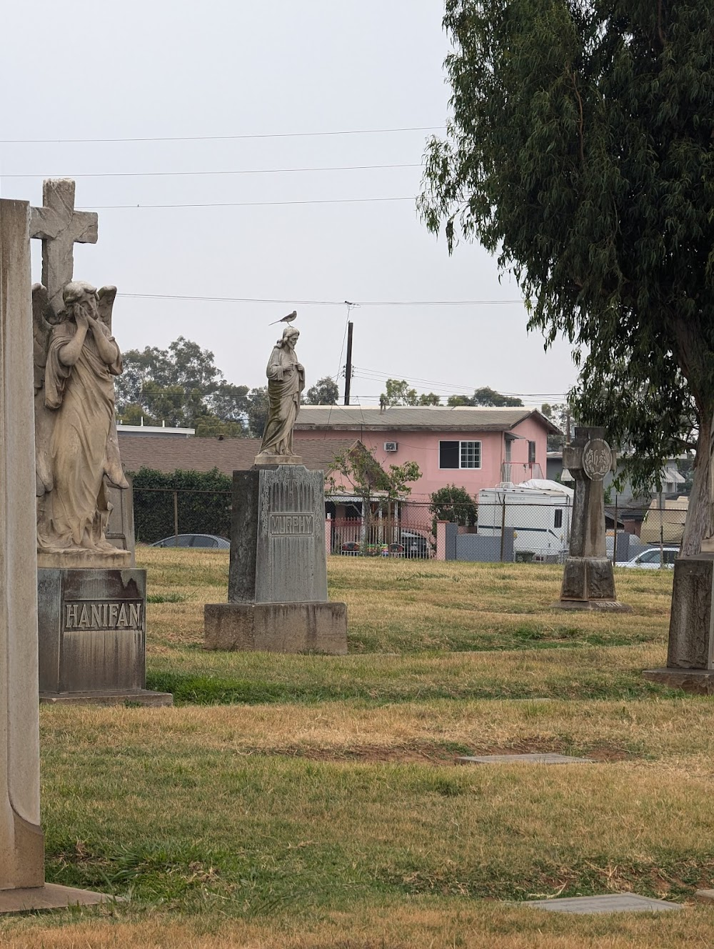 Black Eye : Opening cemetary sequence.