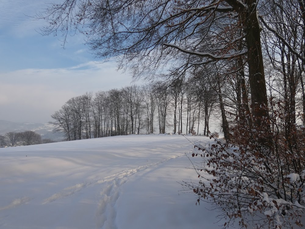 Hans im Glück : location