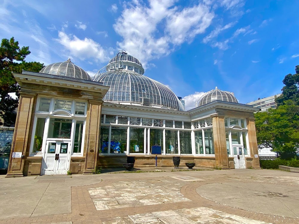 Mimicry : Greenhouse scene