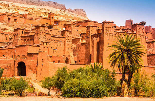 Collective Soul: In Morocco : 