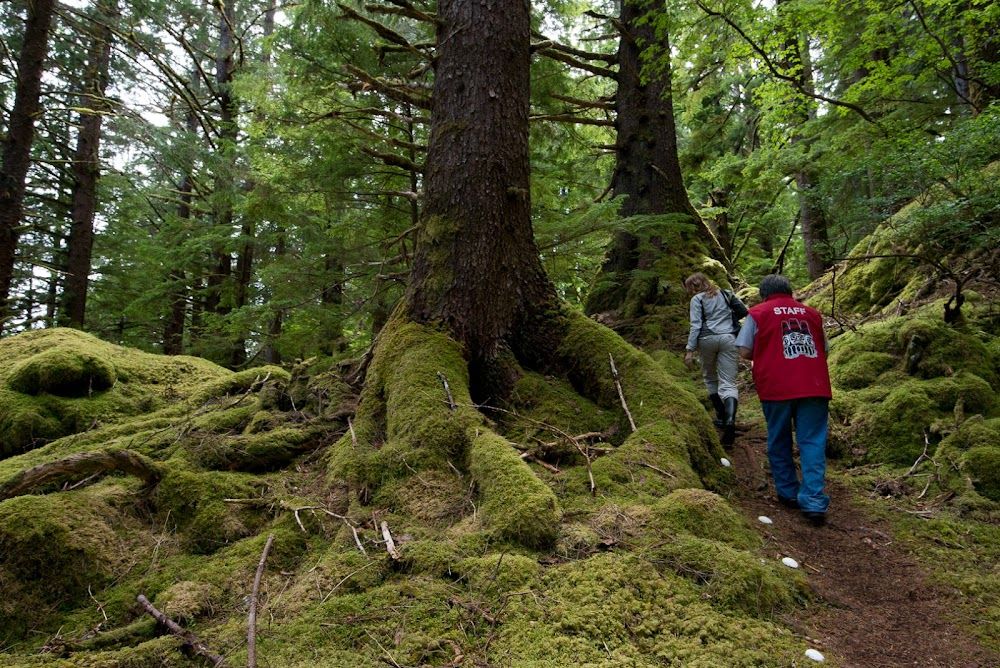 Hadwin's Judgement : on location