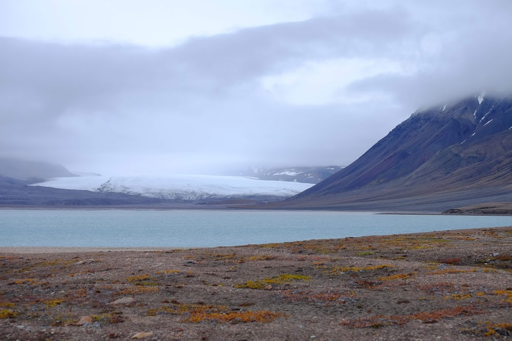 The National Parks Project : 